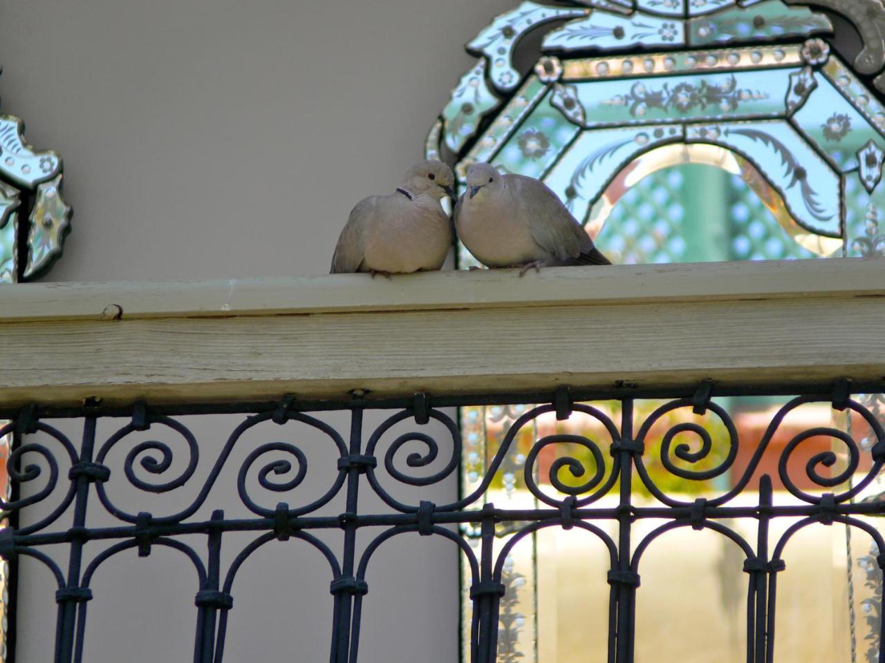 Riad El Mezouar Marrakesh Exterior photo