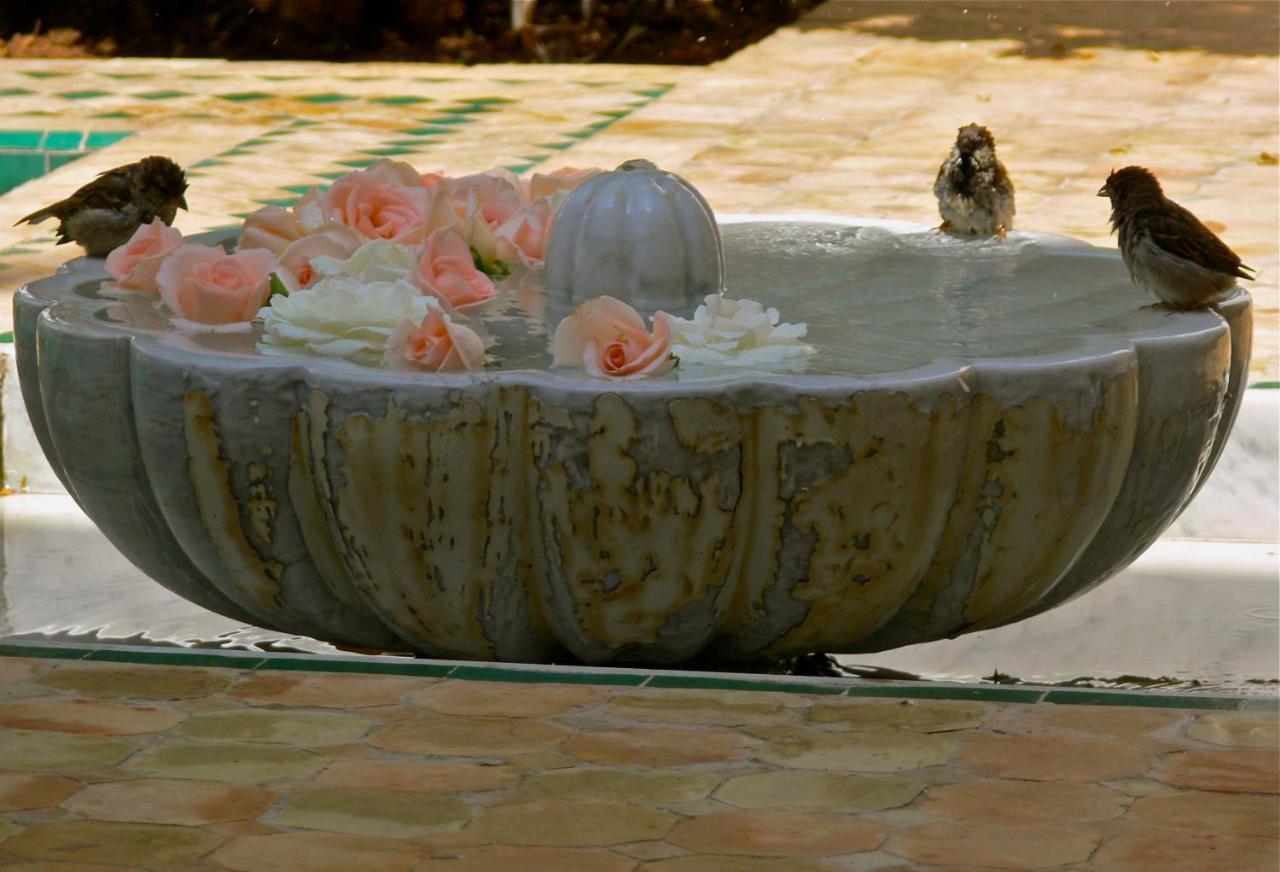 Riad El Mezouar Marrakesh Exterior photo